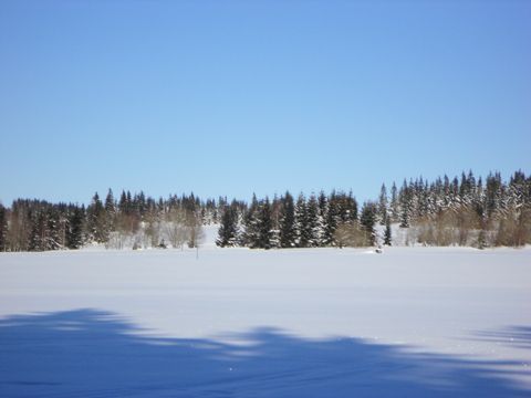 Foto 76